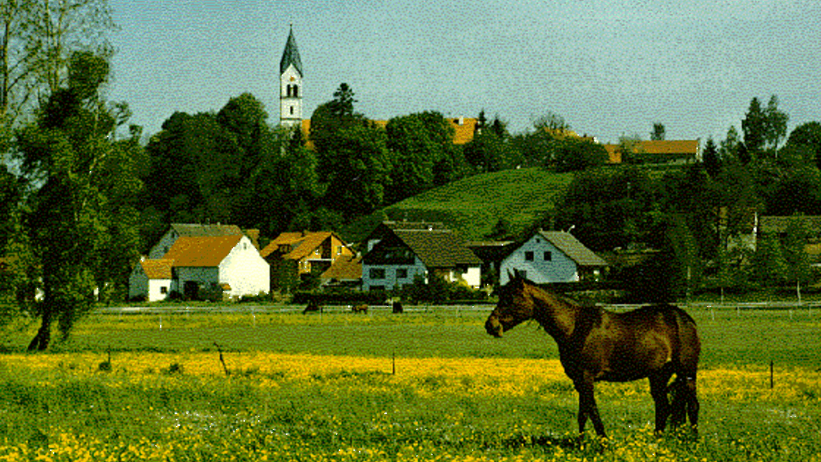 altes-bayerdilling