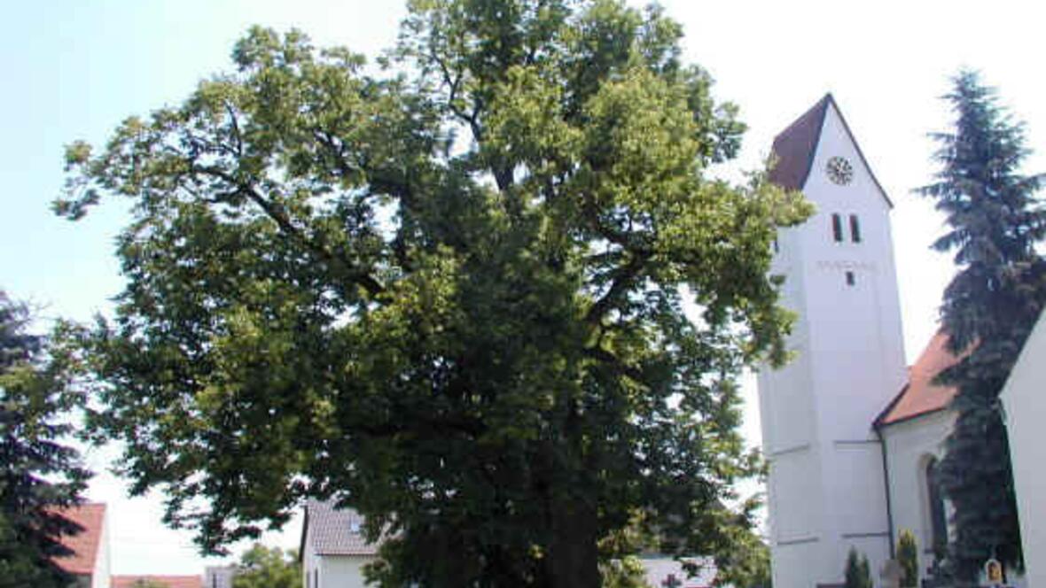 bild-kirche-wallerdorf