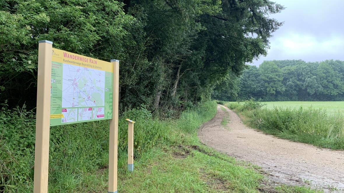 Wanderweg durchs Esterholz bei in Rain am Lech